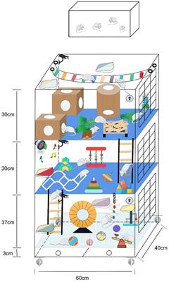Enriched environment-induced neuroplasticity in ischemic stroke and its underlying mechanisms